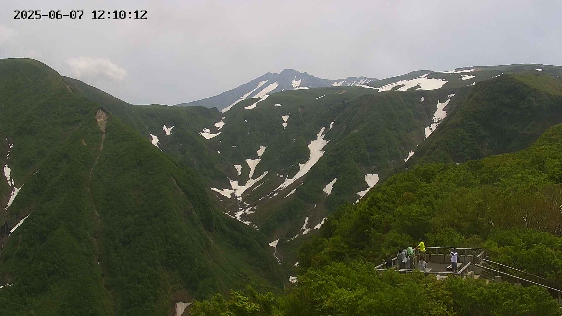 zenkei20250607121014.jpg