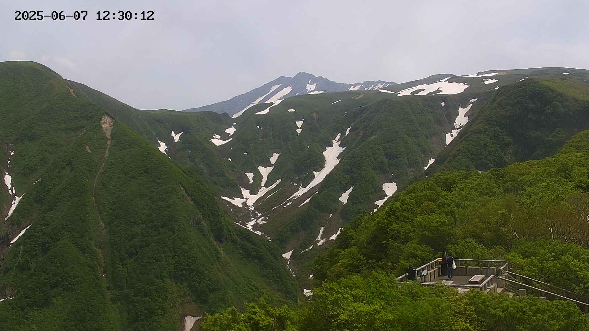 zenkei20250607123013.jpg