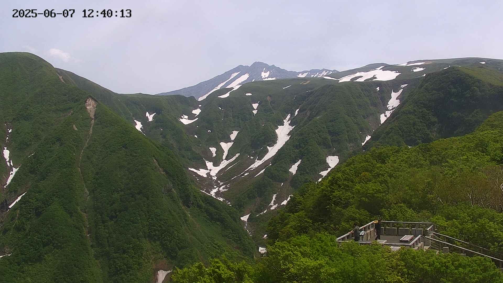 zenkei20250607124015.jpg