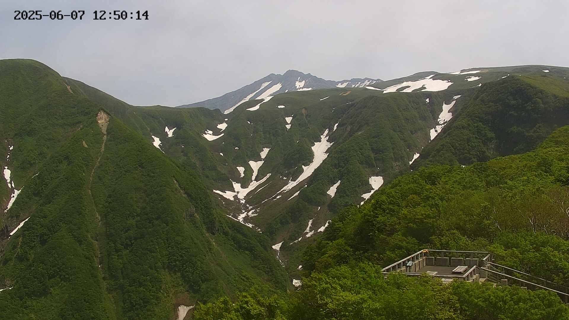 zenkei20250607125015.jpg