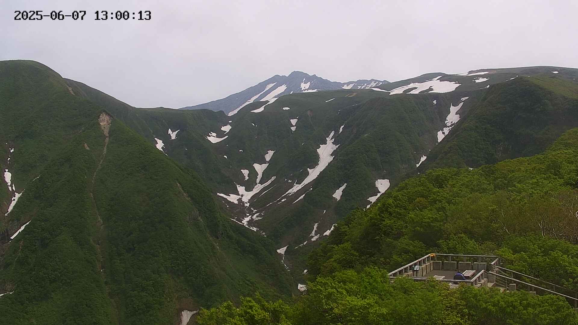 zenkei20250607130014.jpg