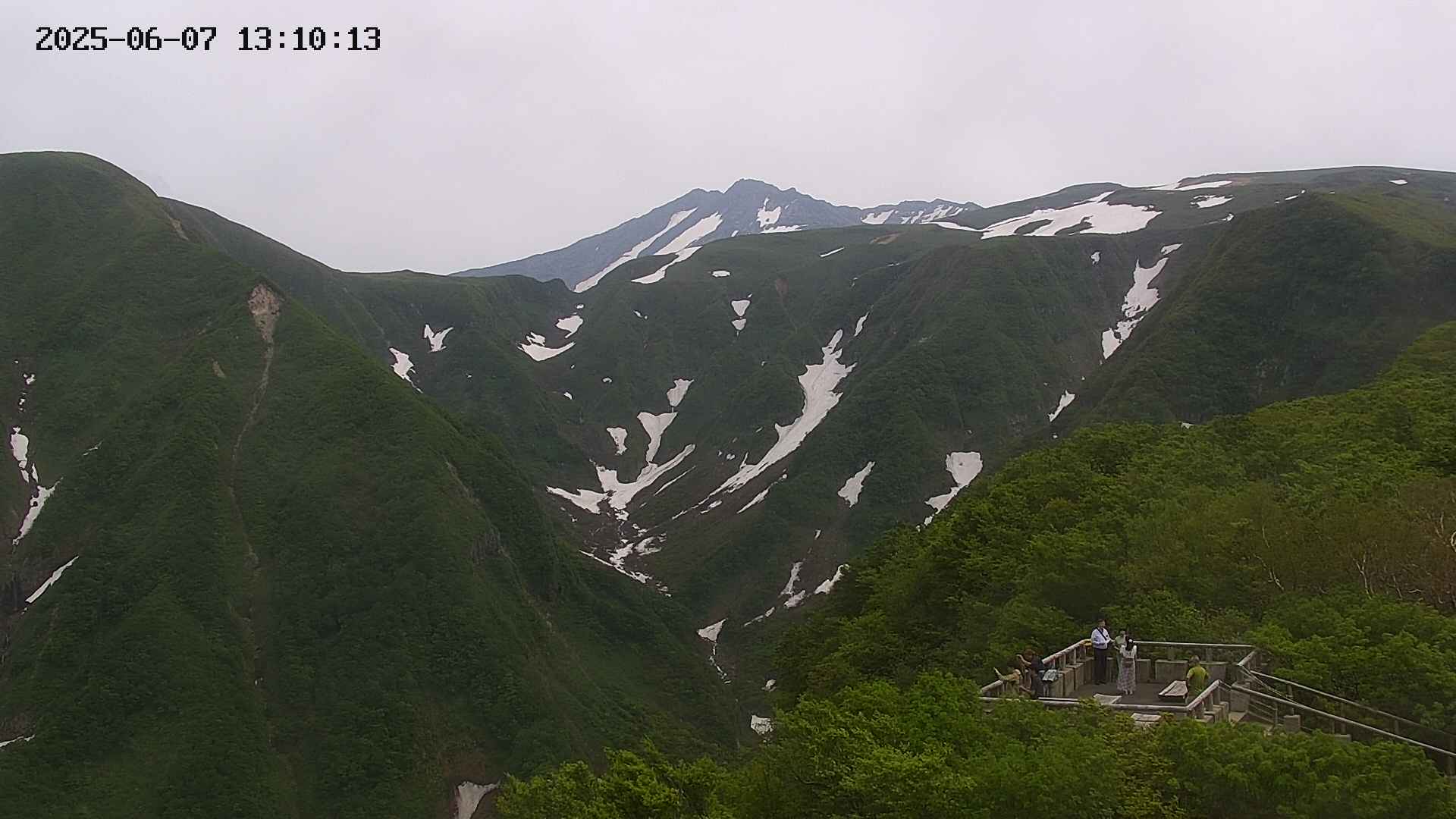 zenkei20250607131015.jpg
