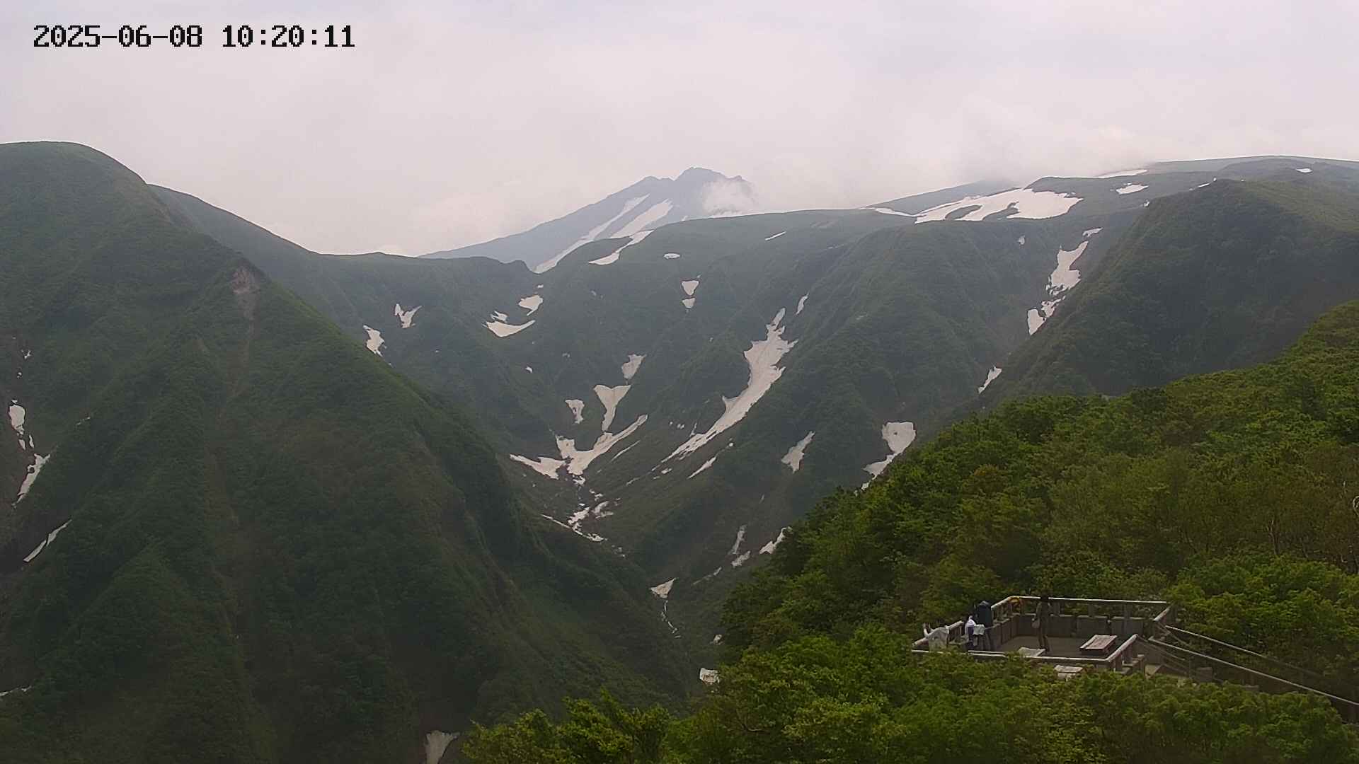 zenkei20250608102012.jpg