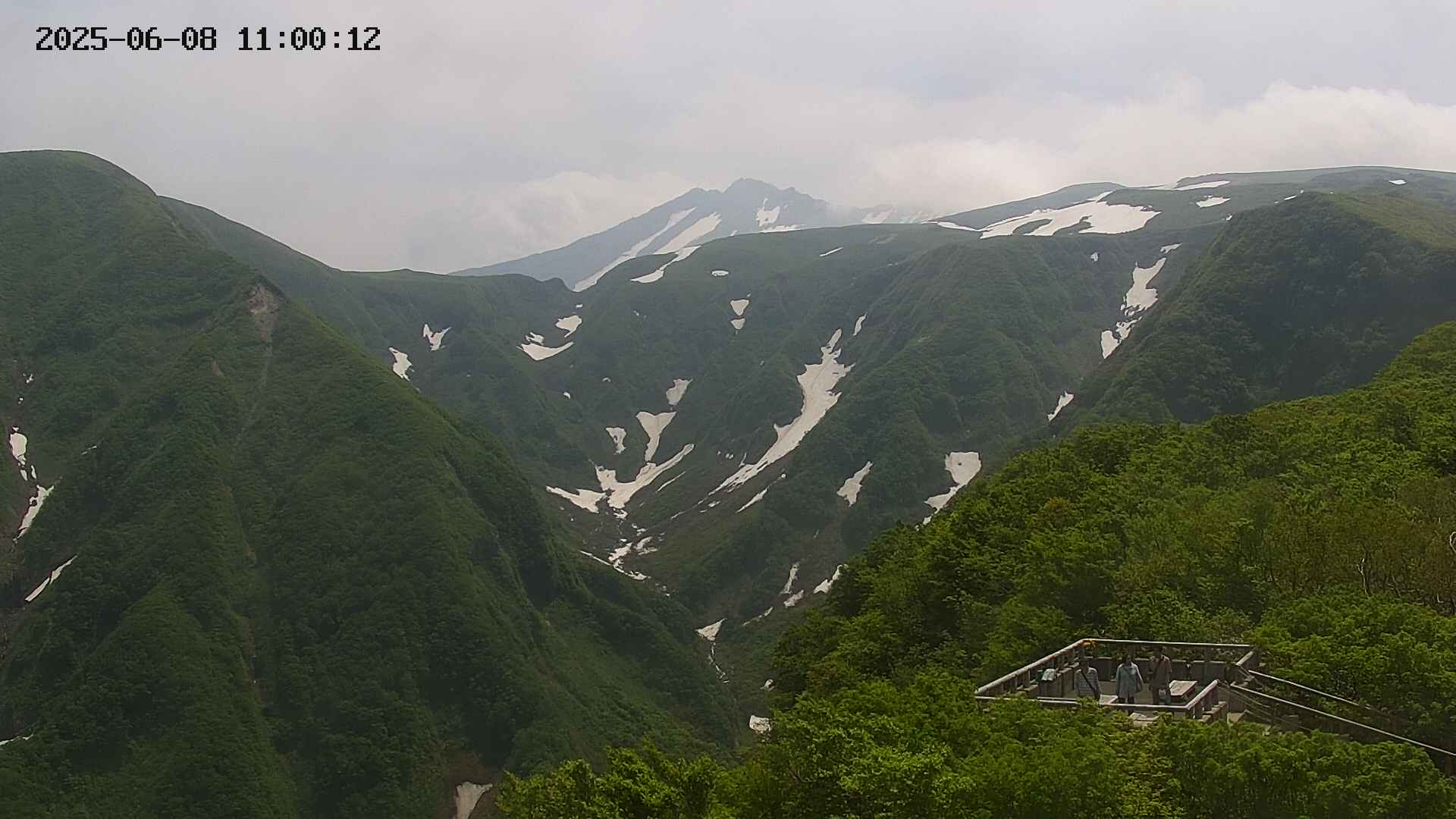 zenkei20250608110013.jpg
