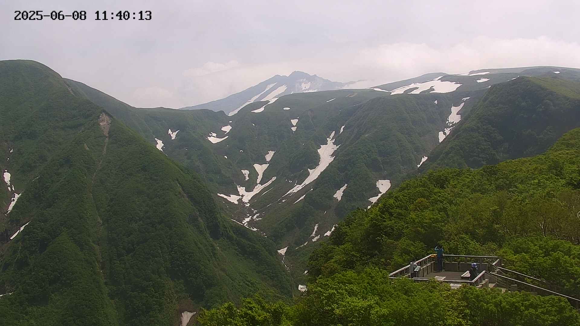 zenkei20250608114014.jpg