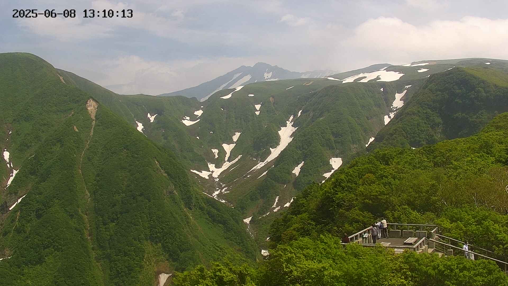 zenkei20250608131014.jpg