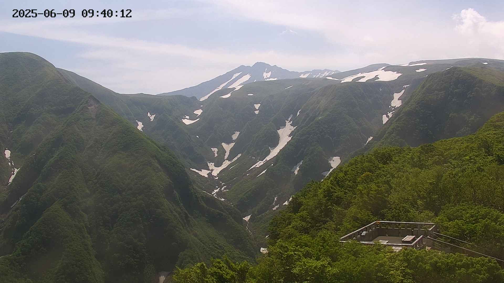 zenkei20250609094013.jpg