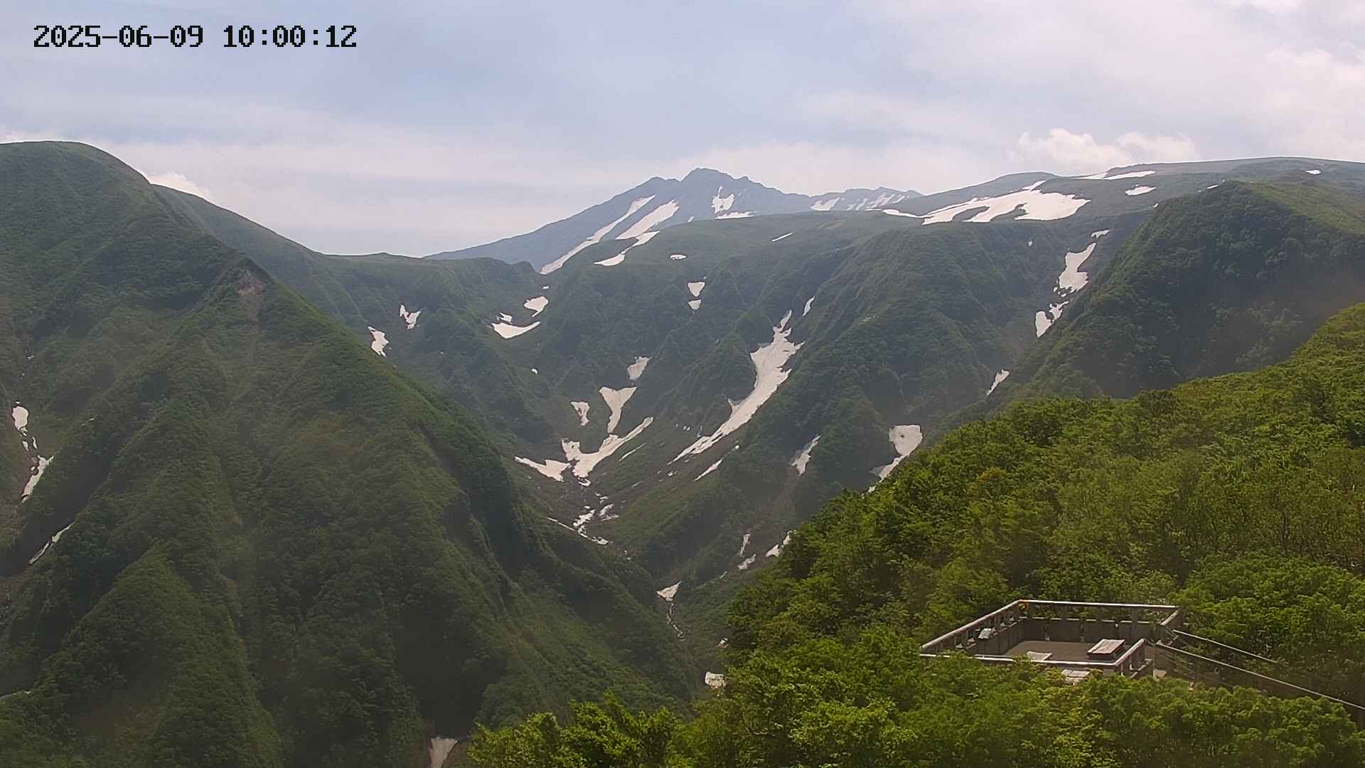zenkei20250609100013.jpg