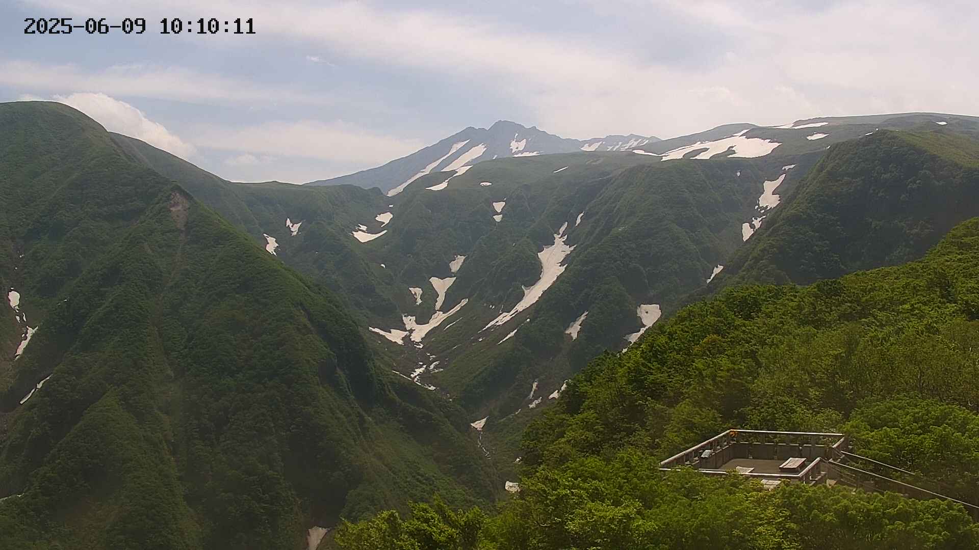 zenkei20250609101012.jpg