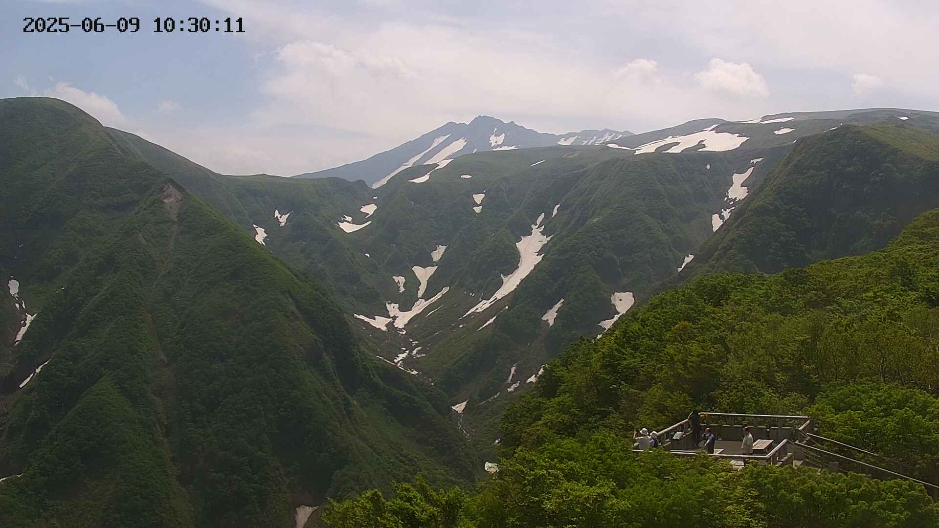 zenkei20250609103012.jpg