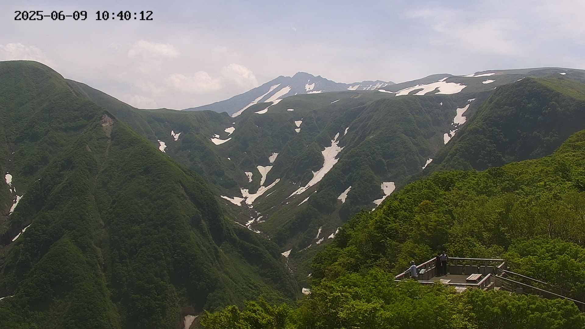zenkei20250609104013.jpg