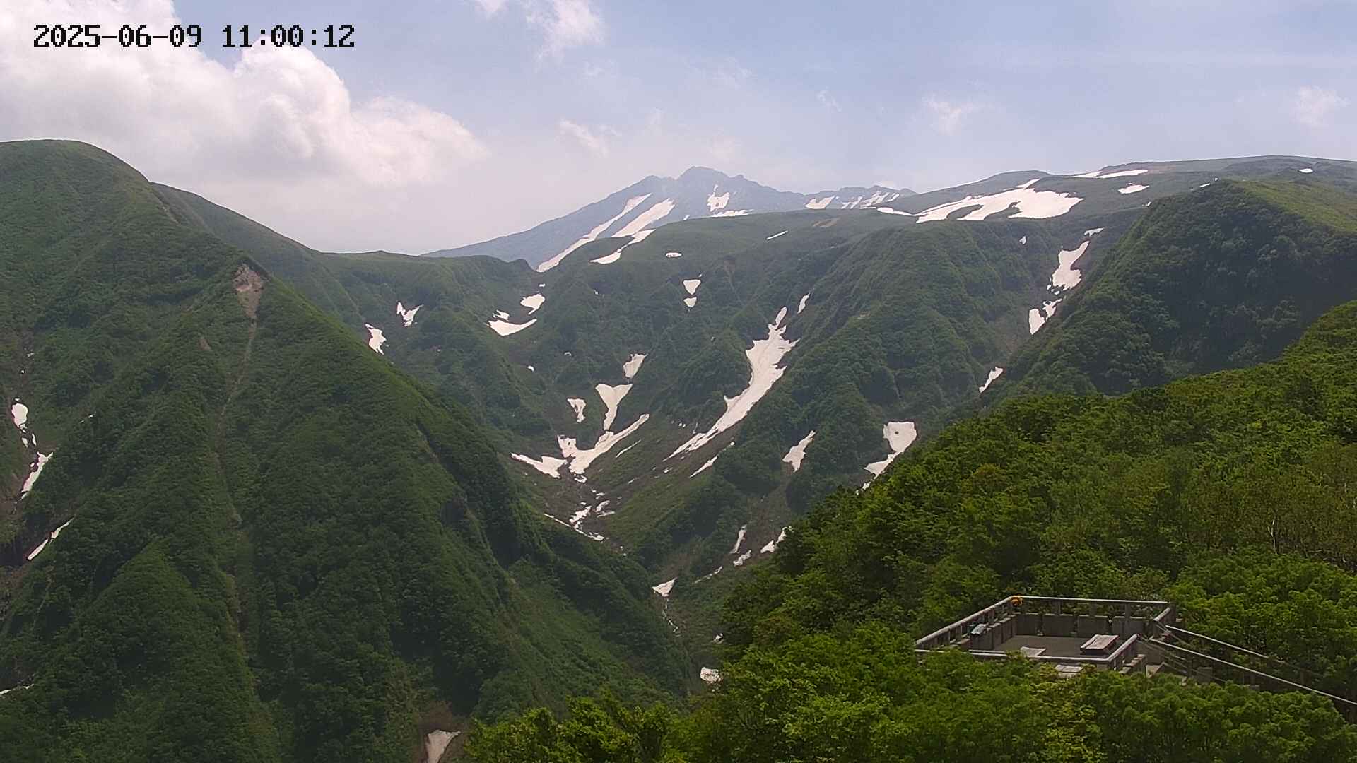 zenkei20250609110013.jpg