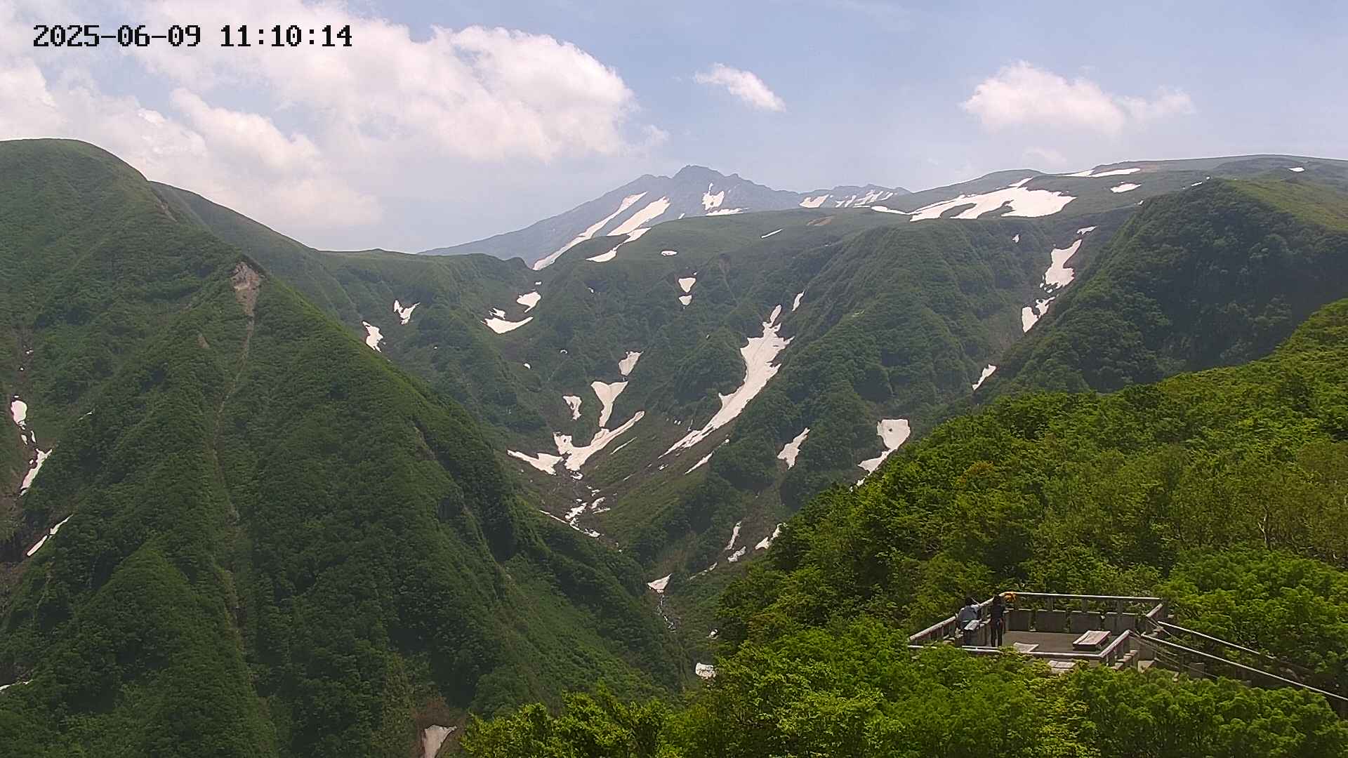 zenkei20250609111015.jpg