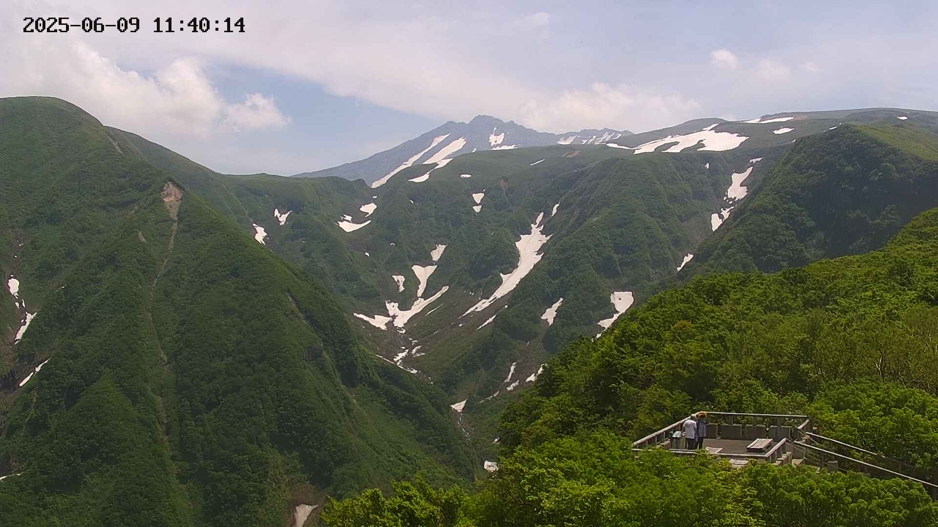 zenkei20250609114015.jpg