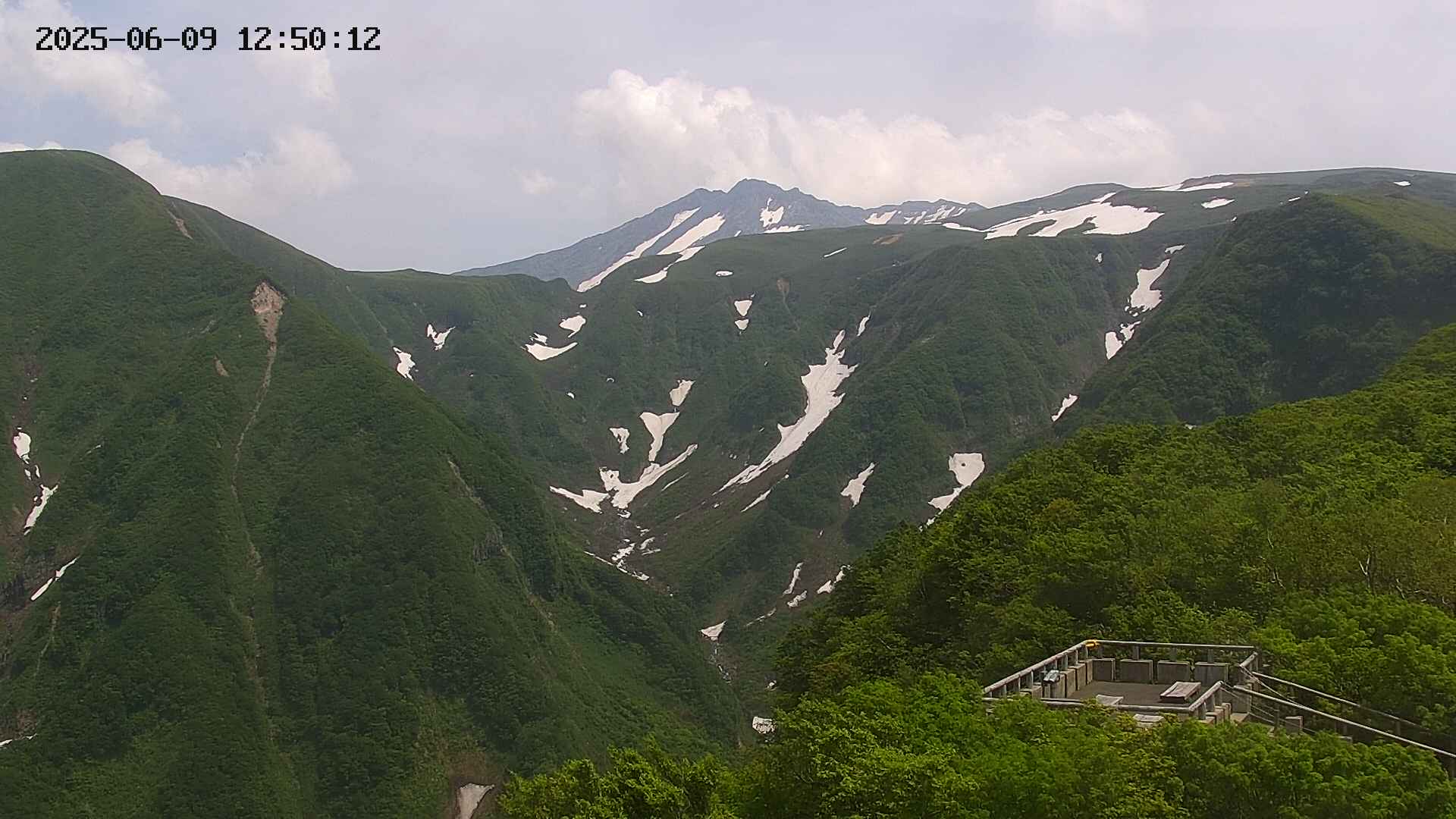 zenkei20250609125013.jpg