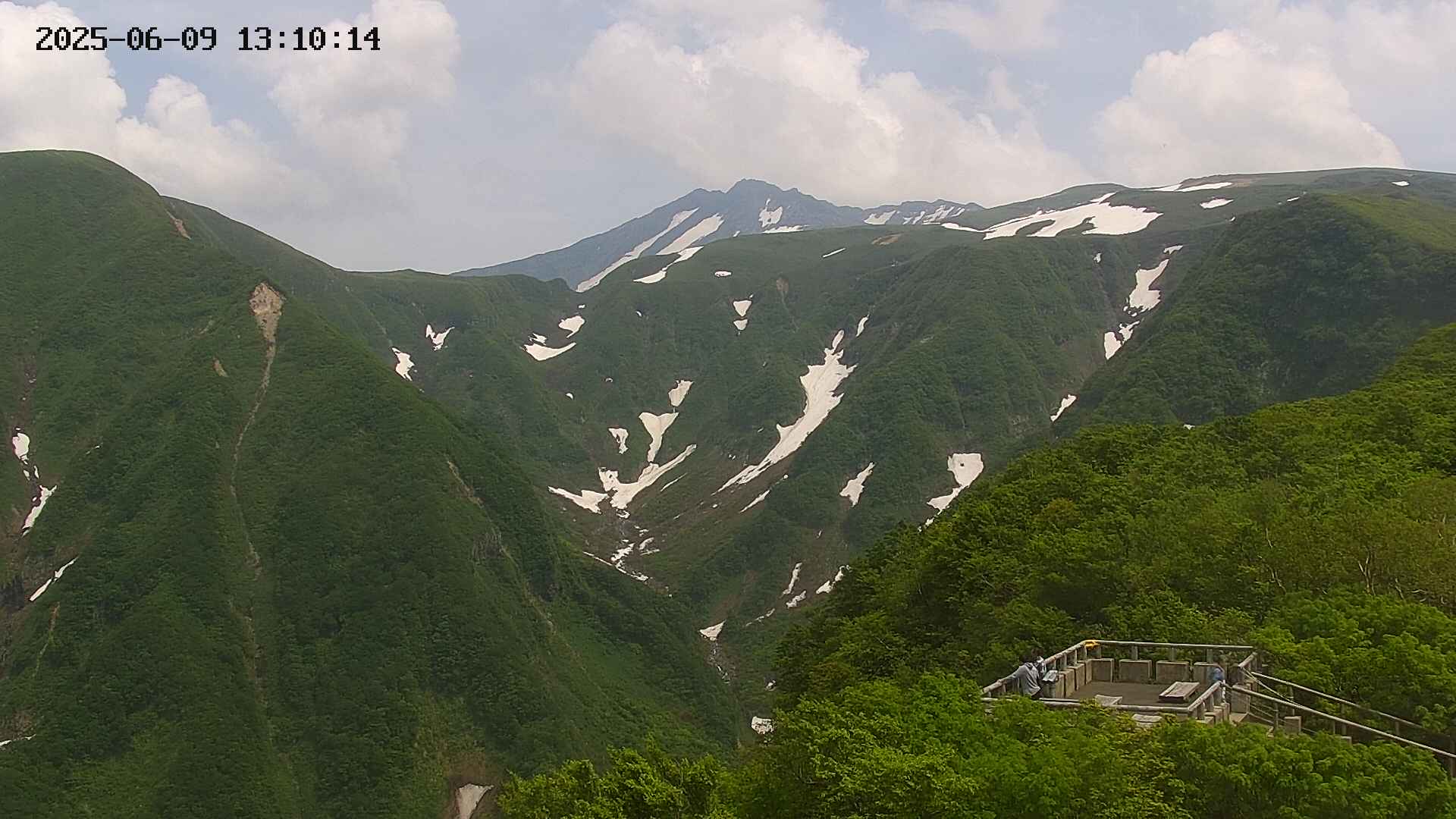zenkei20250609131015.jpg