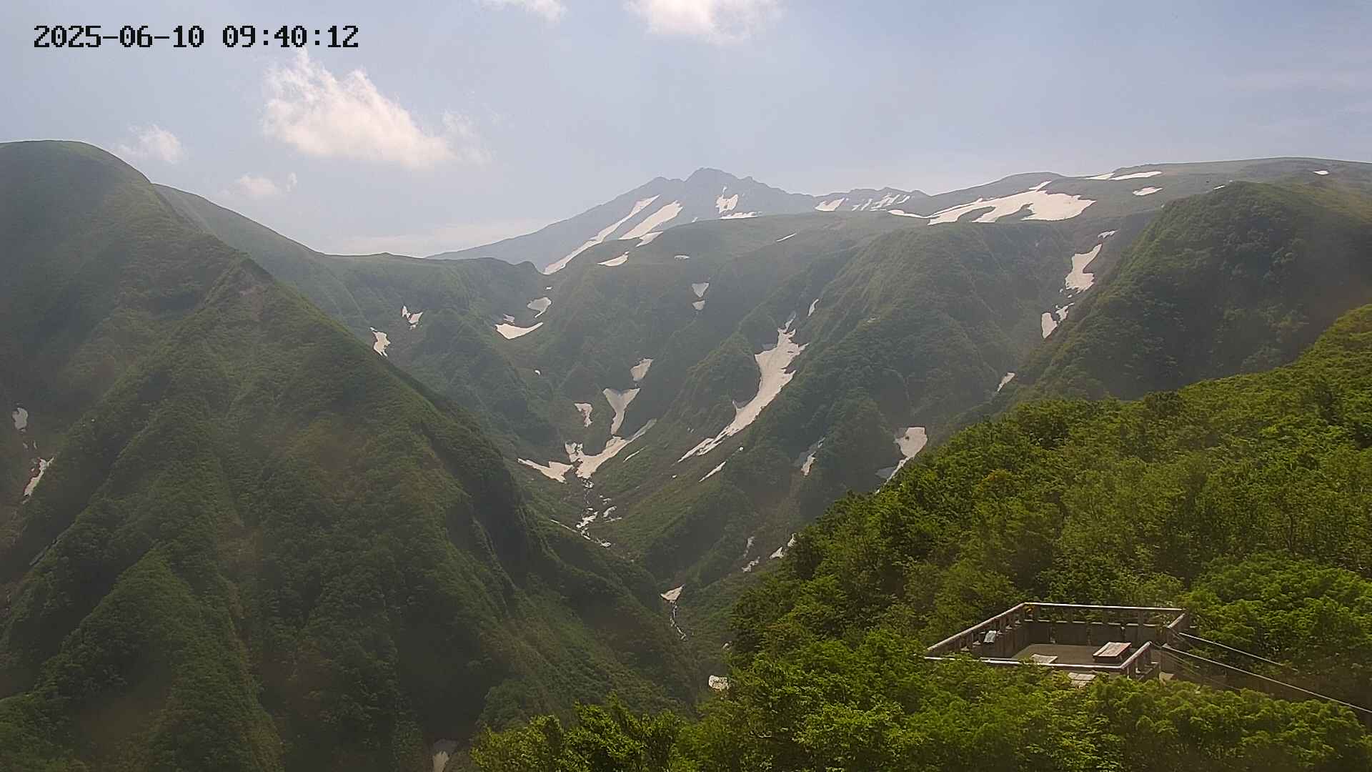 zenkei20250610094013.jpg