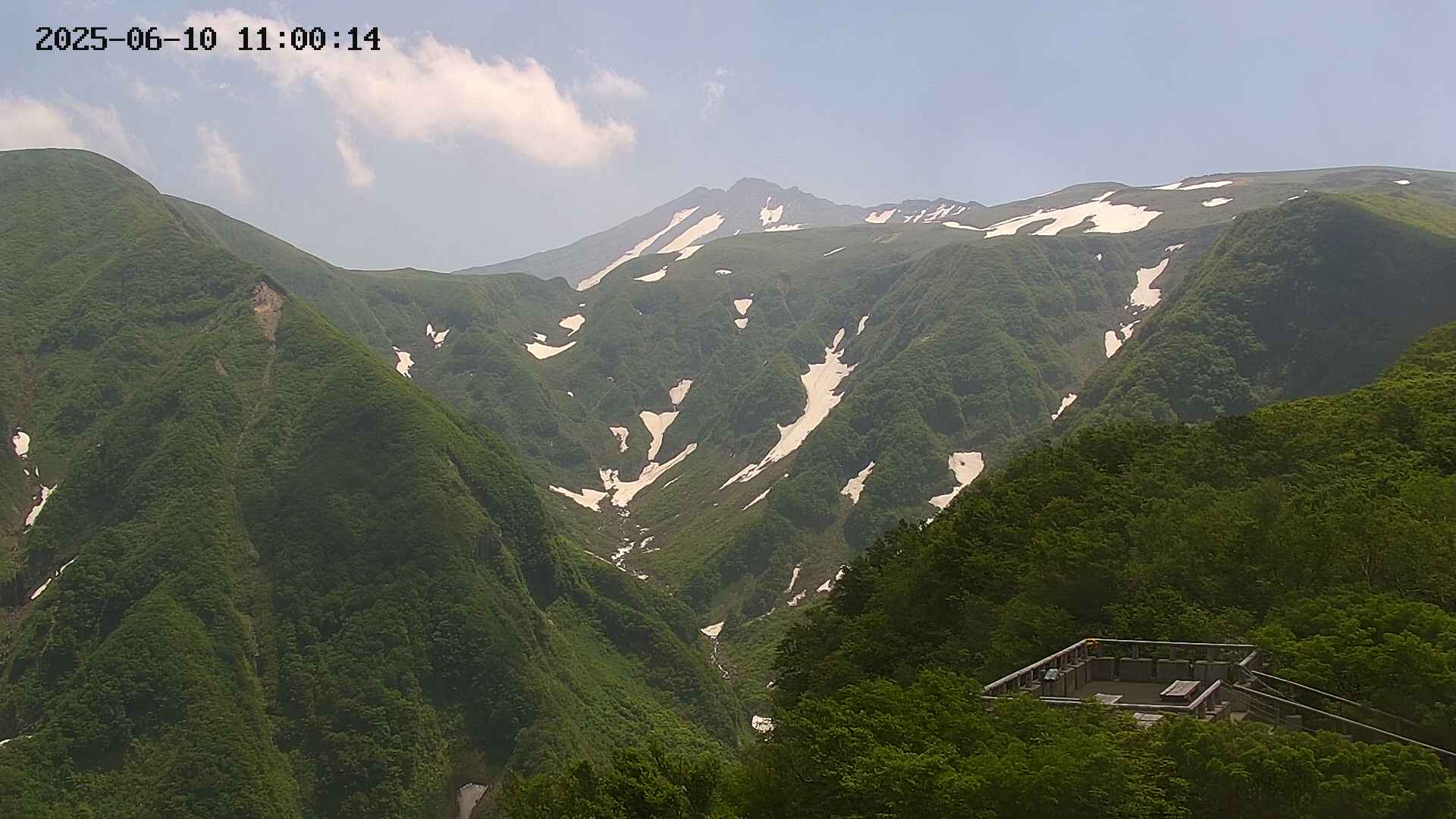 zenkei20250610110014.jpg