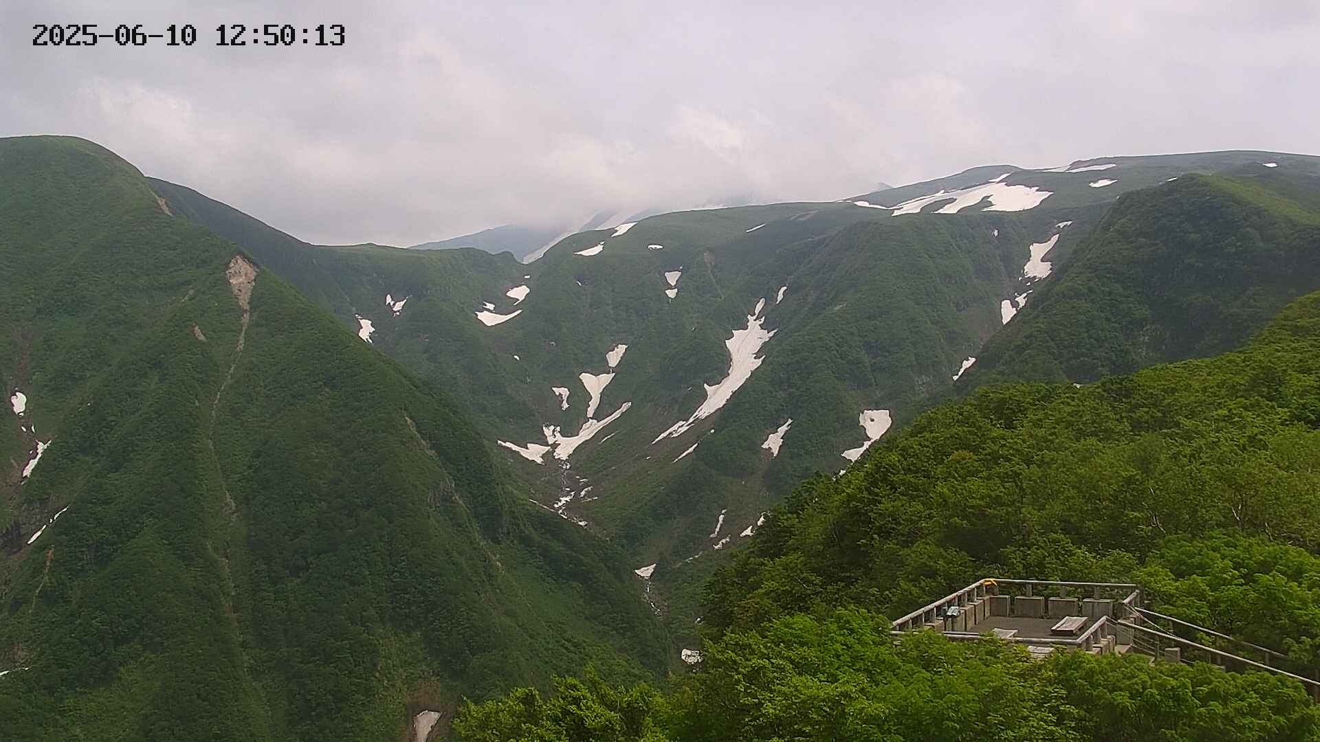 zenkei20250610125014.jpg