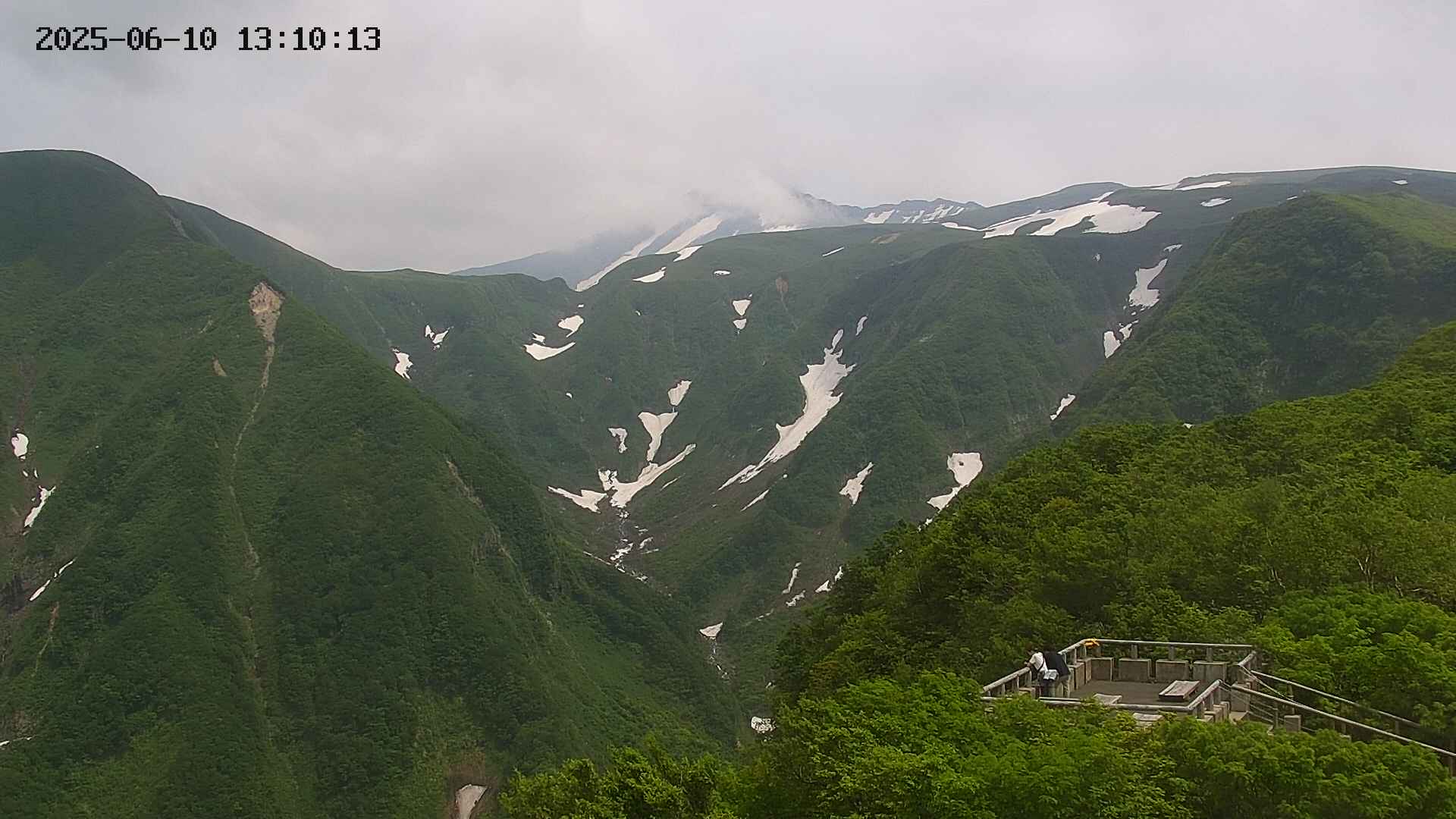 zenkei20250610131013.jpg