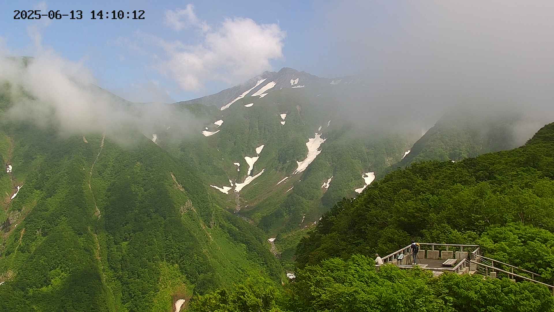 zenkei20250613141014.jpg