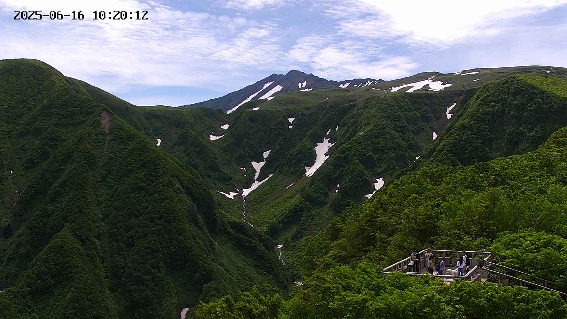 zenkei20250616102012.jpg