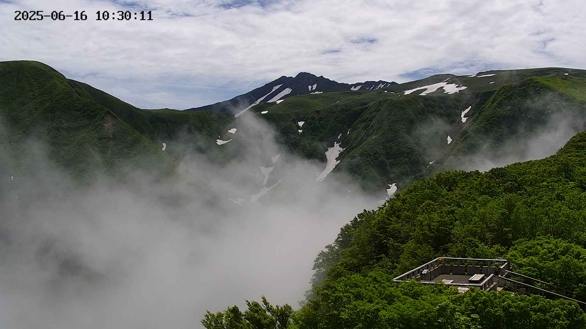zenkei20250616103012.jpg