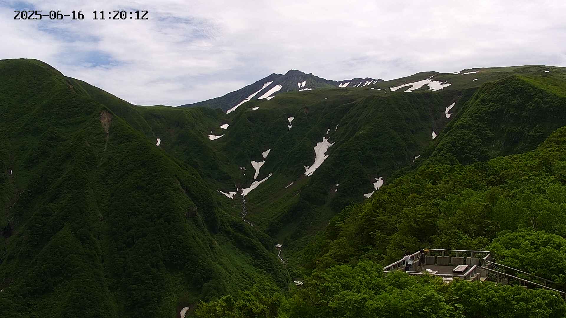 zenkei20250616112013.jpg