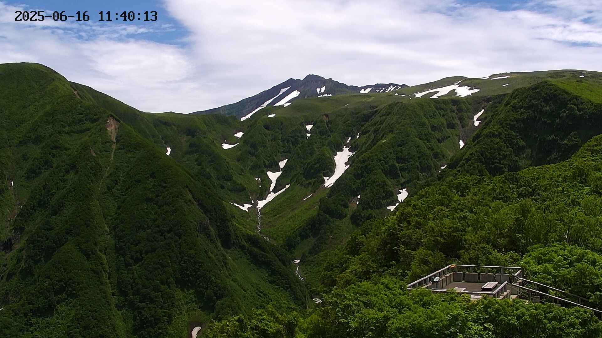 zenkei20250616114014.jpg