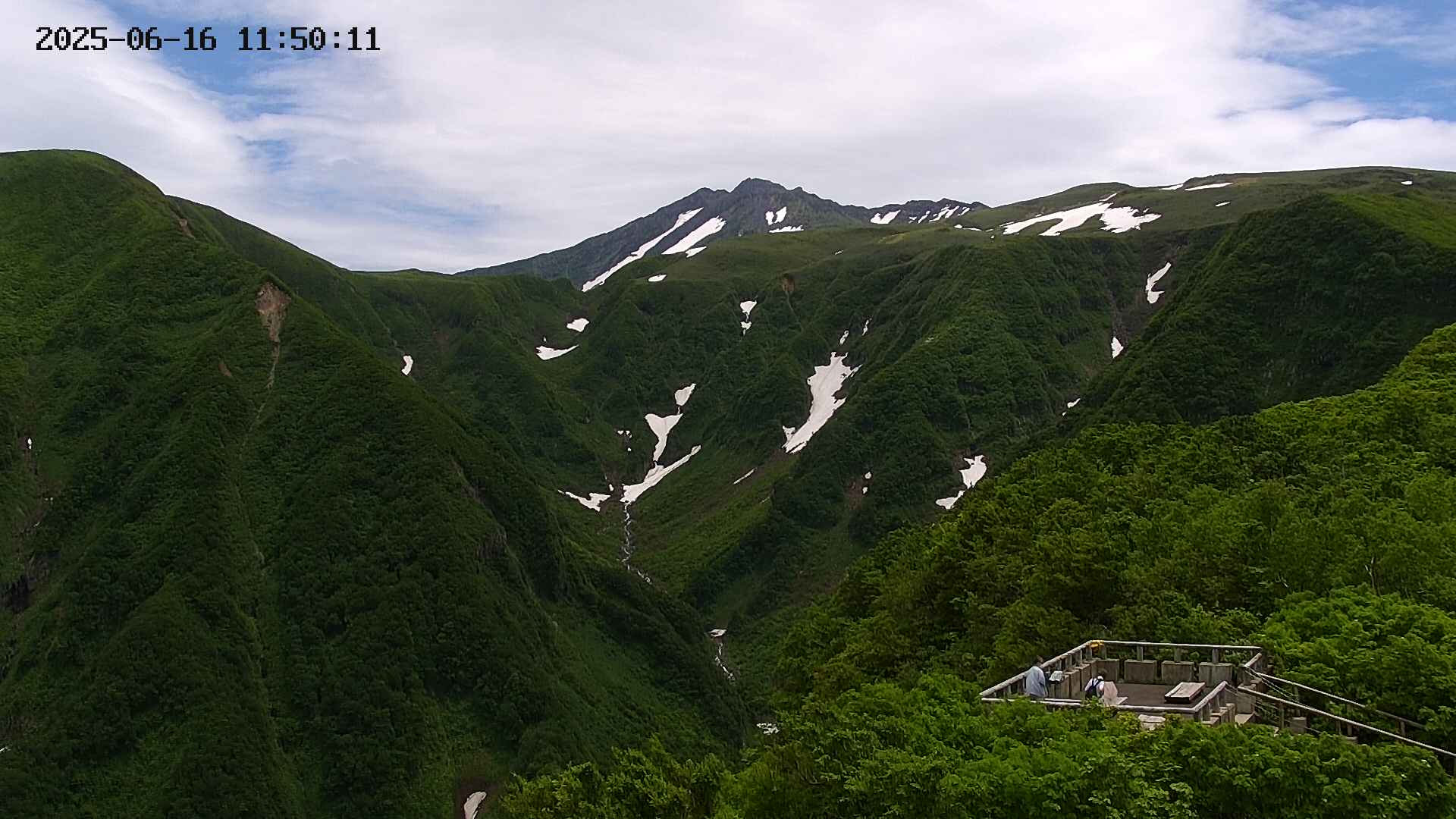 zenkei20250616115012.jpg