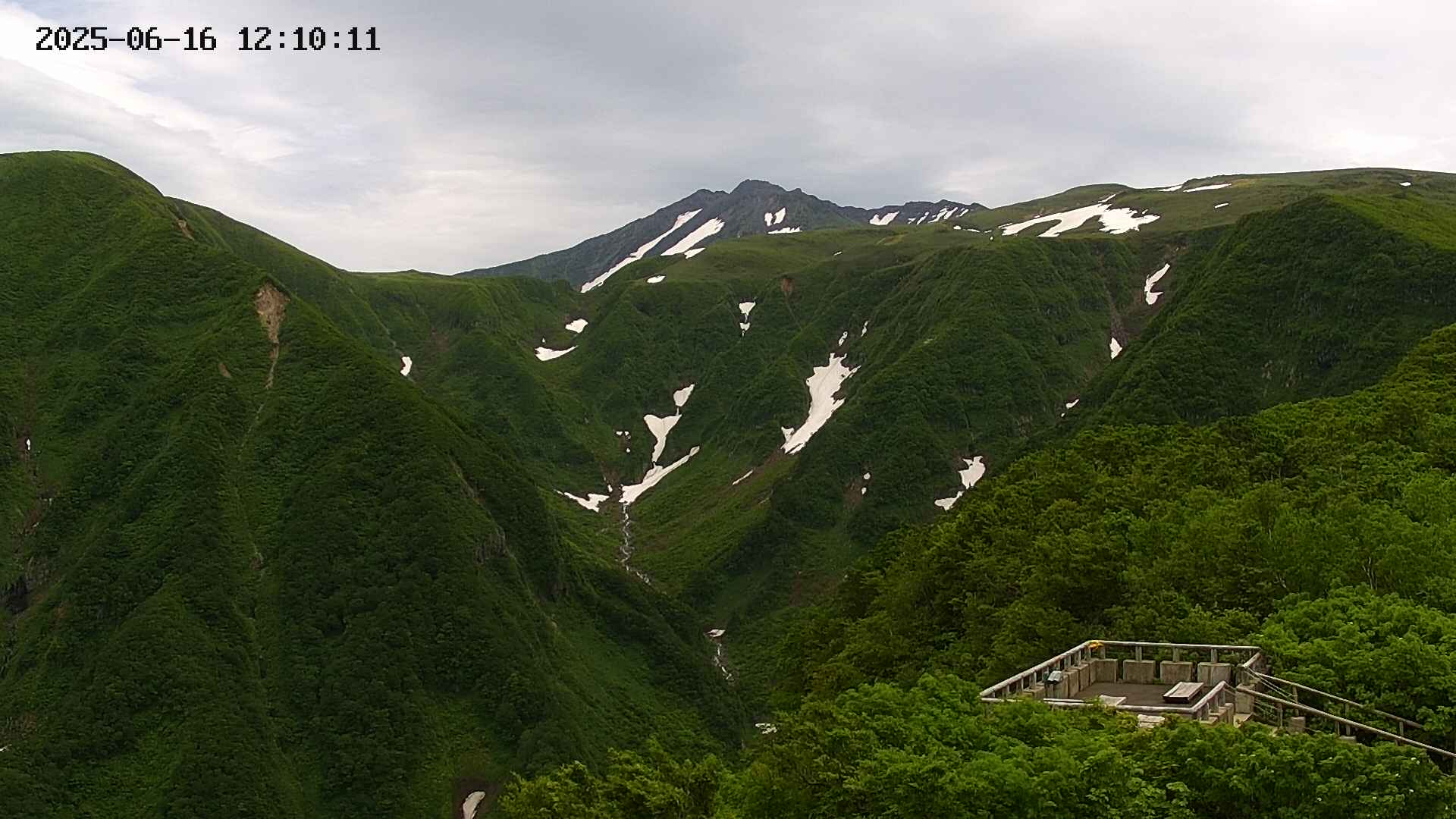 zenkei20250616121012.jpg