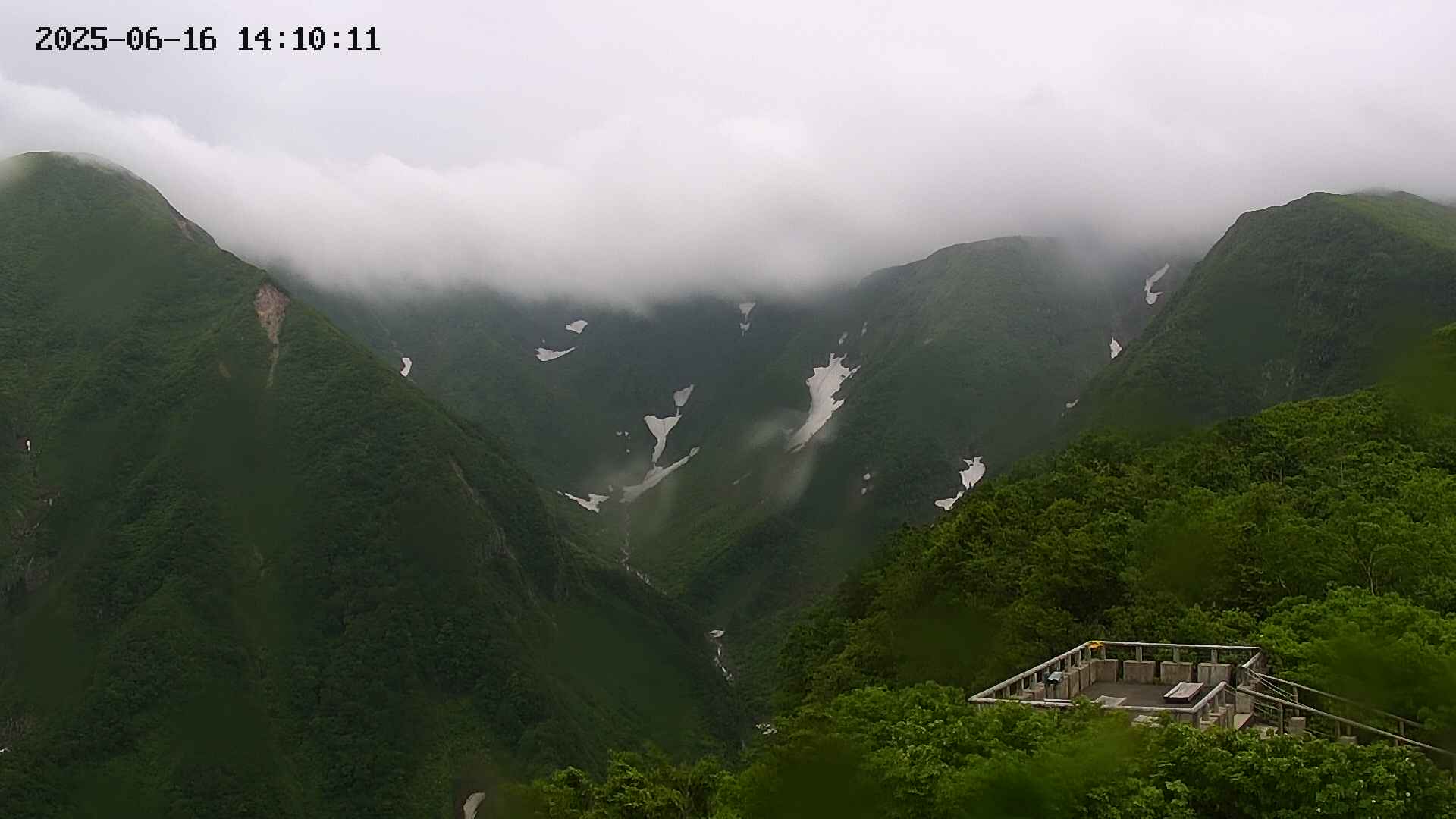 zenkei20250616141012.jpg