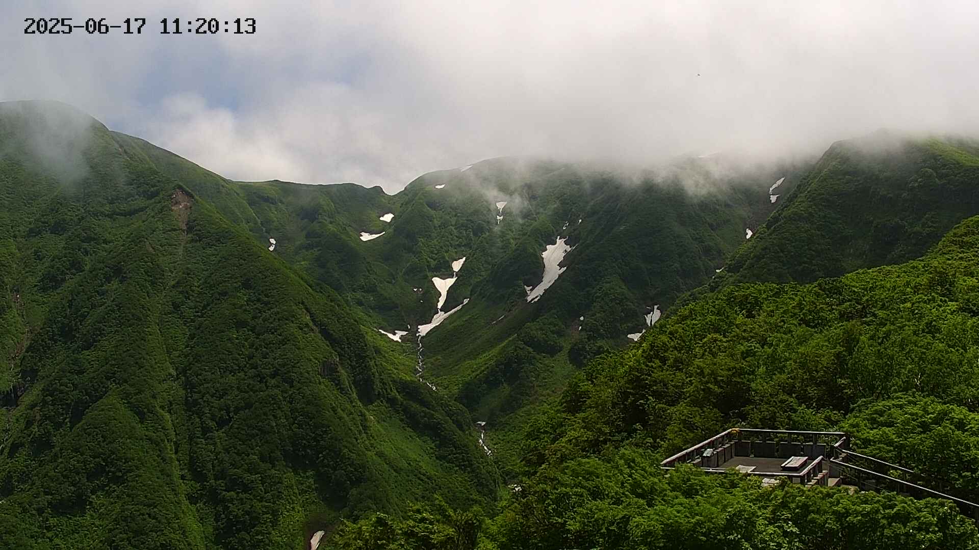 zenkei20250617112014.jpg