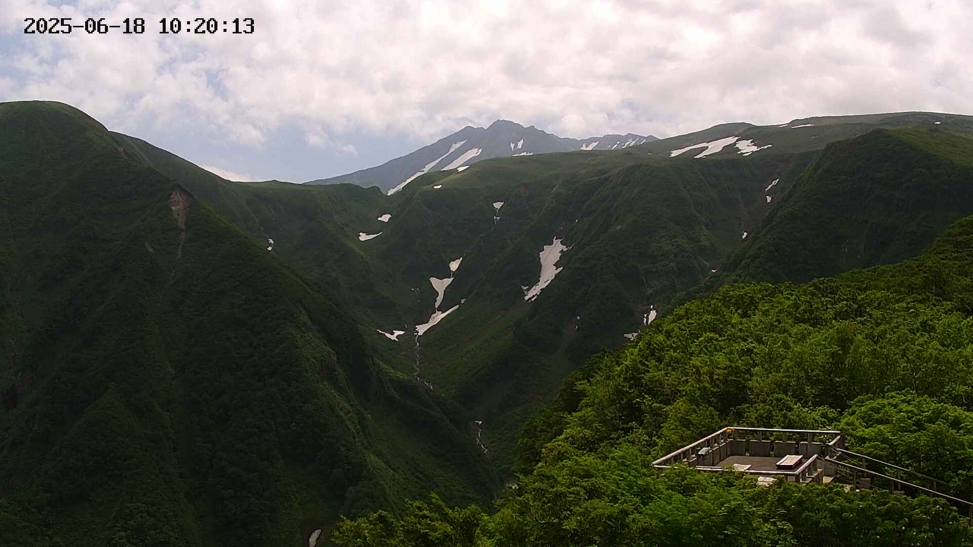 zenkei20250618102014.jpg