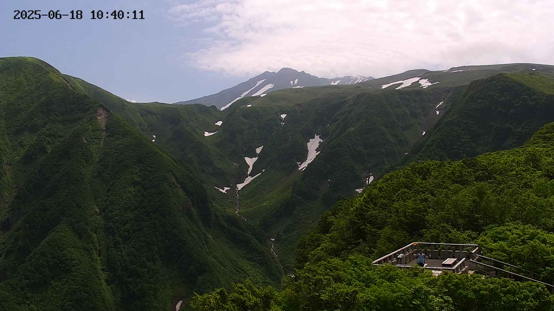 zenkei20250618104012.jpg