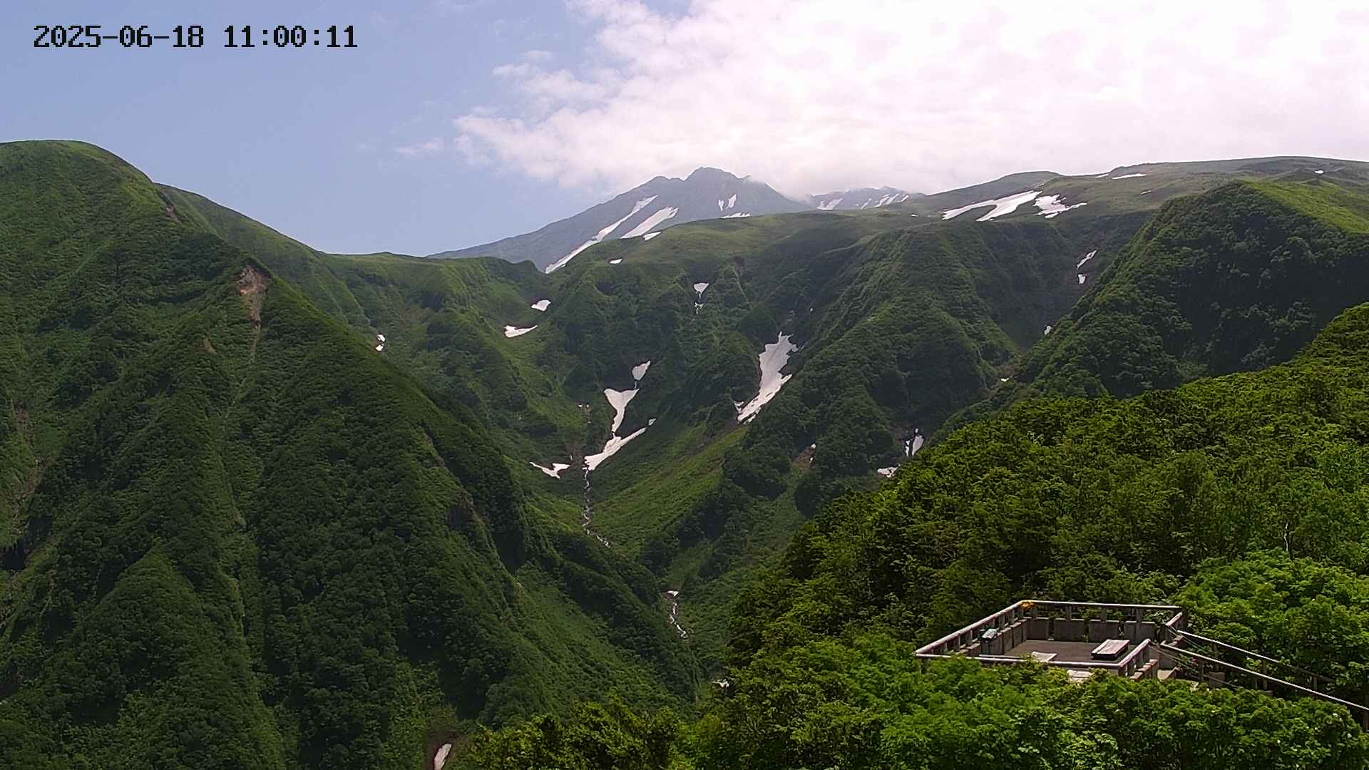 zenkei20250618110012.jpg