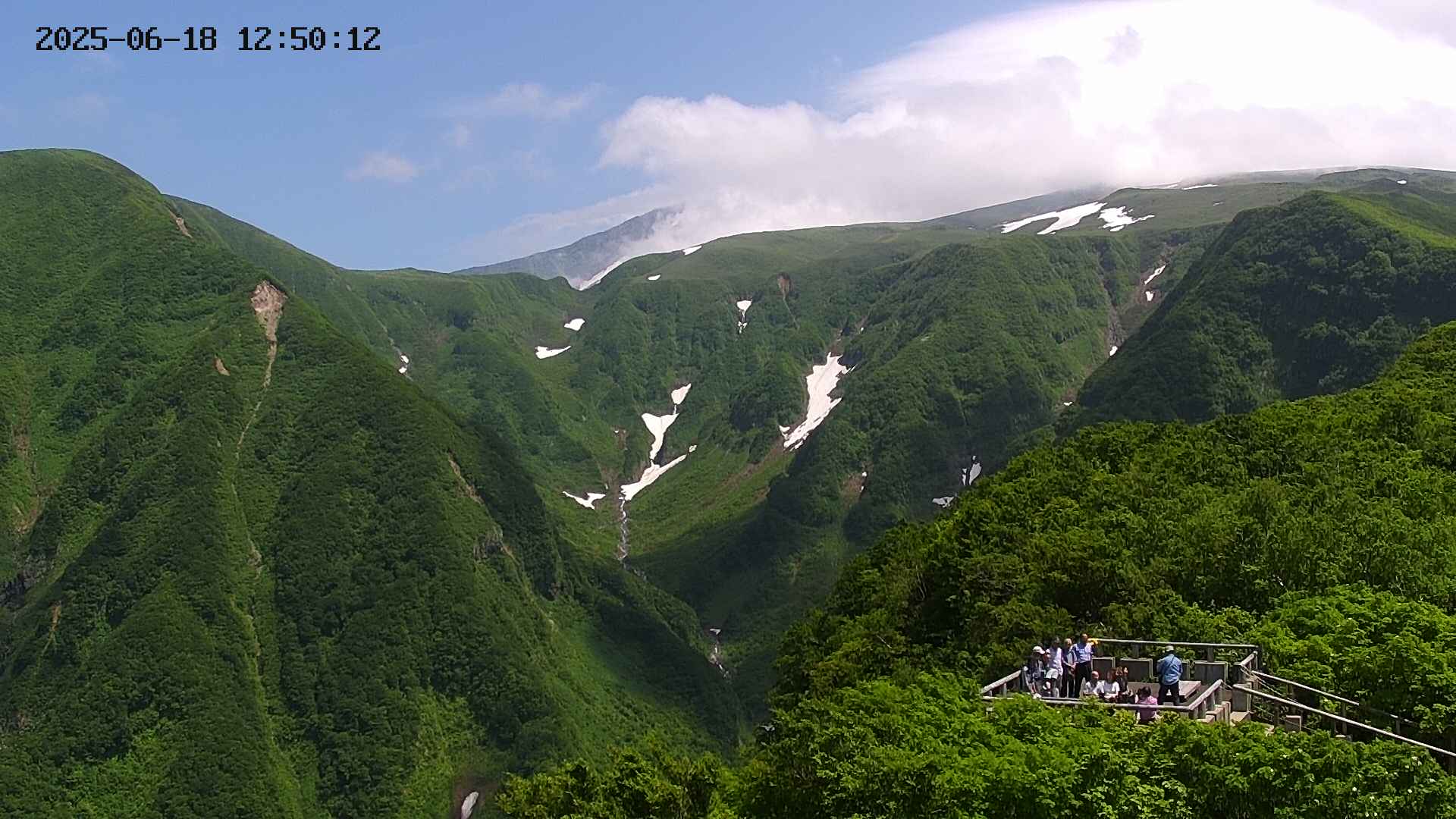 zenkei20250618125013.jpg