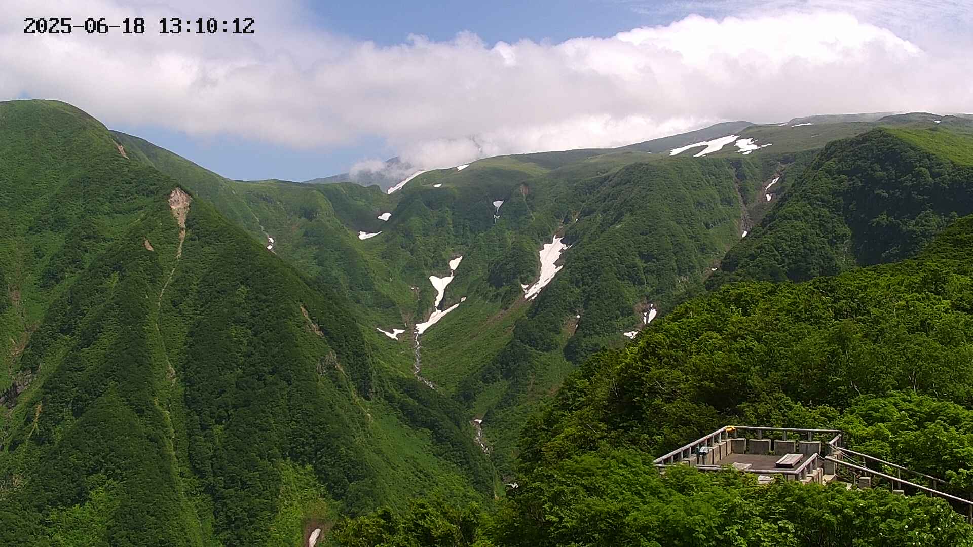 zenkei20250618131013.jpg