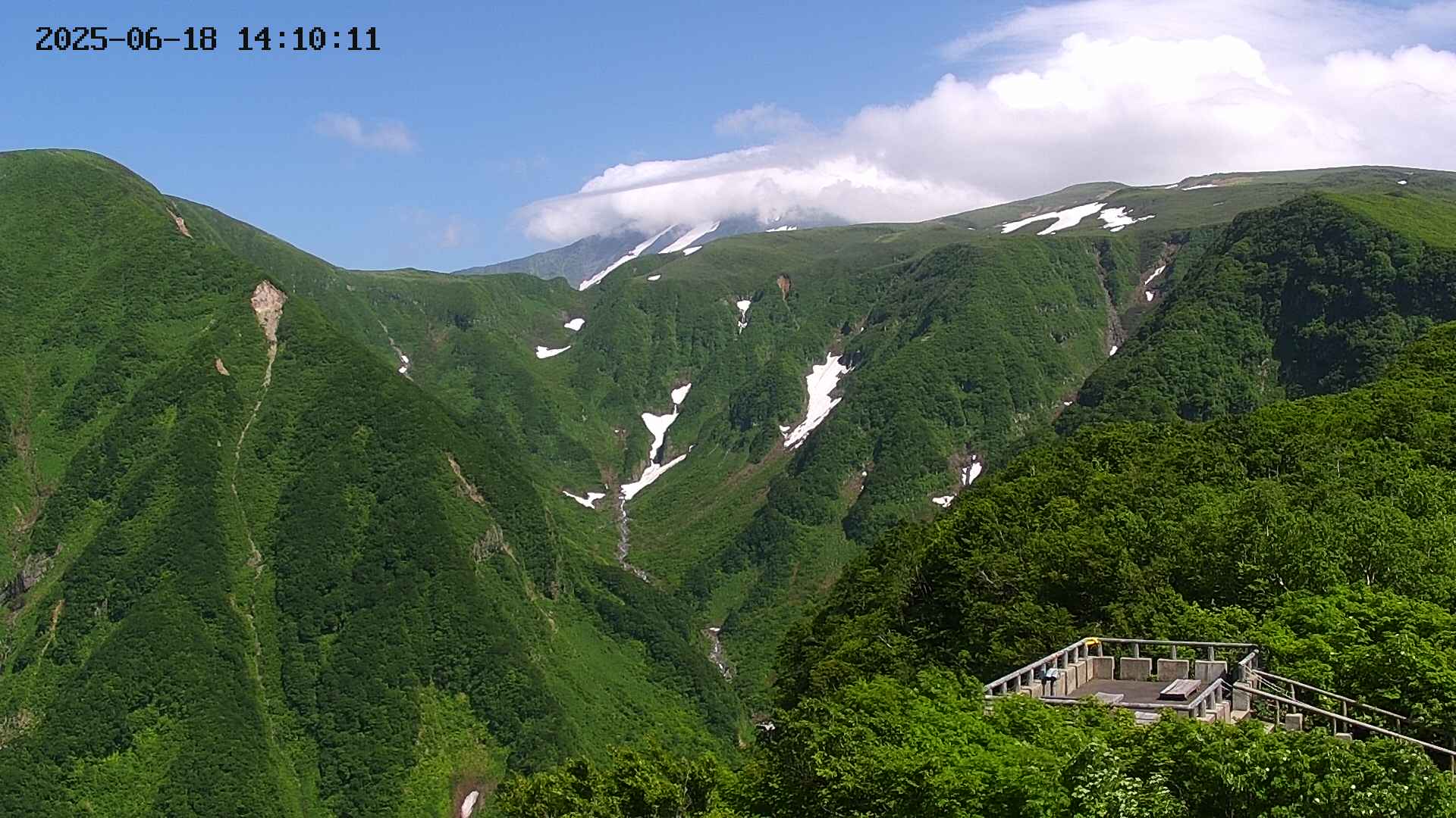 zenkei20250618141013.jpg