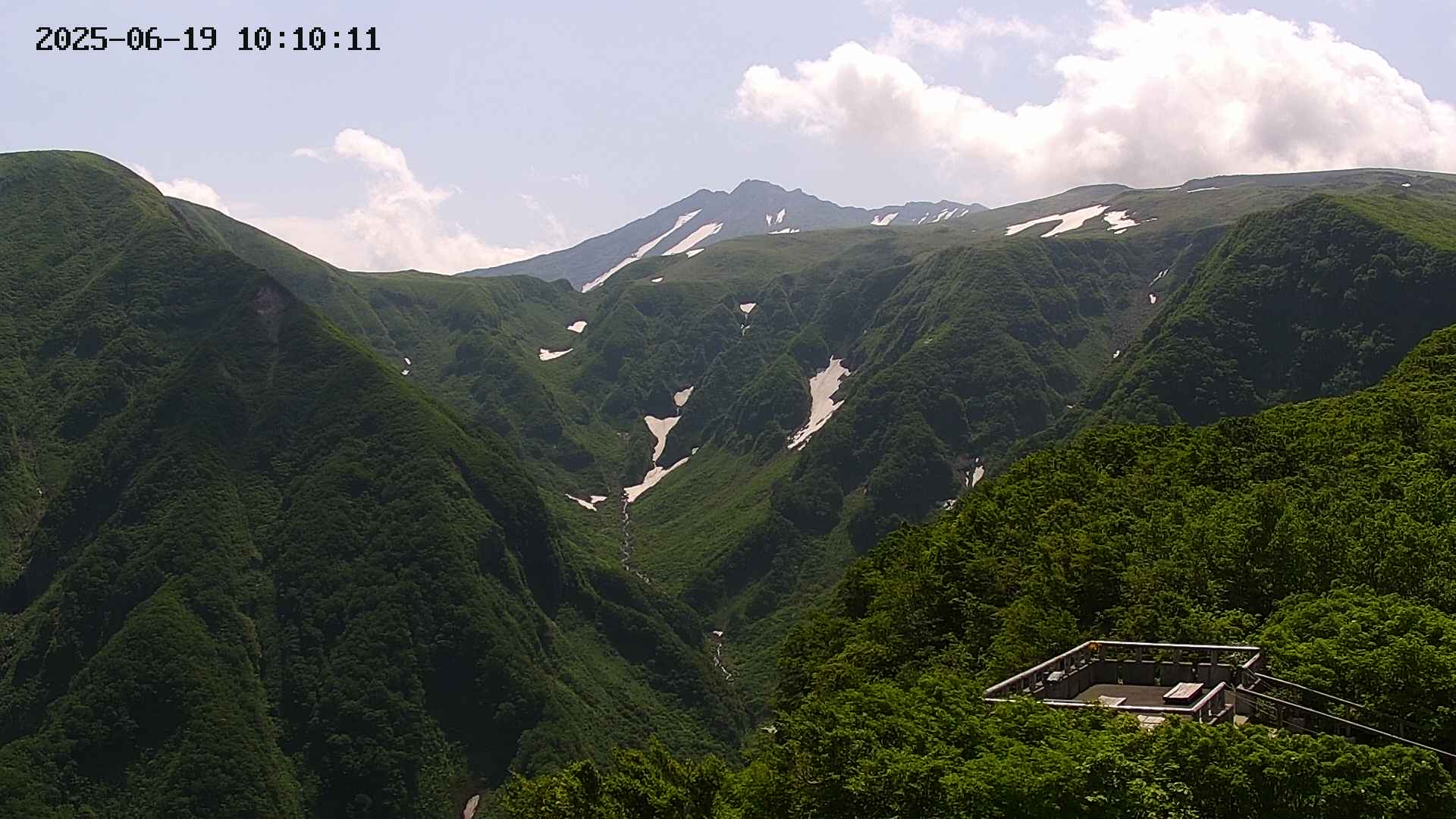zenkei20250619101012.jpg