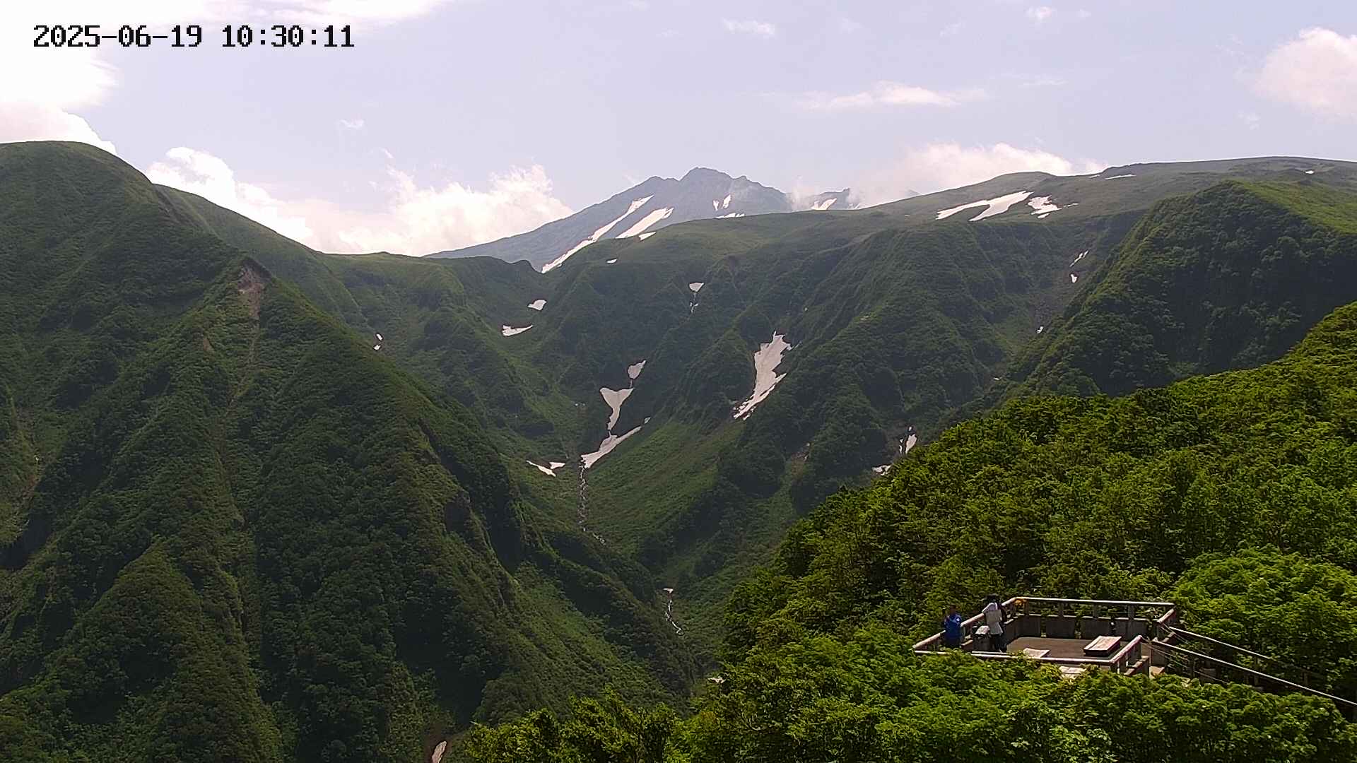 zenkei20250619103013.jpg