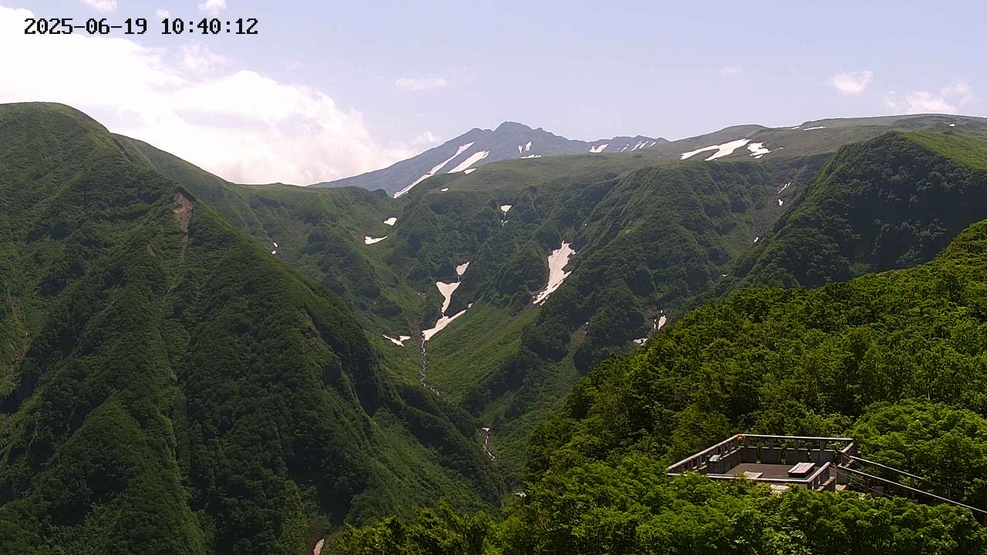 zenkei20250619104013.jpg