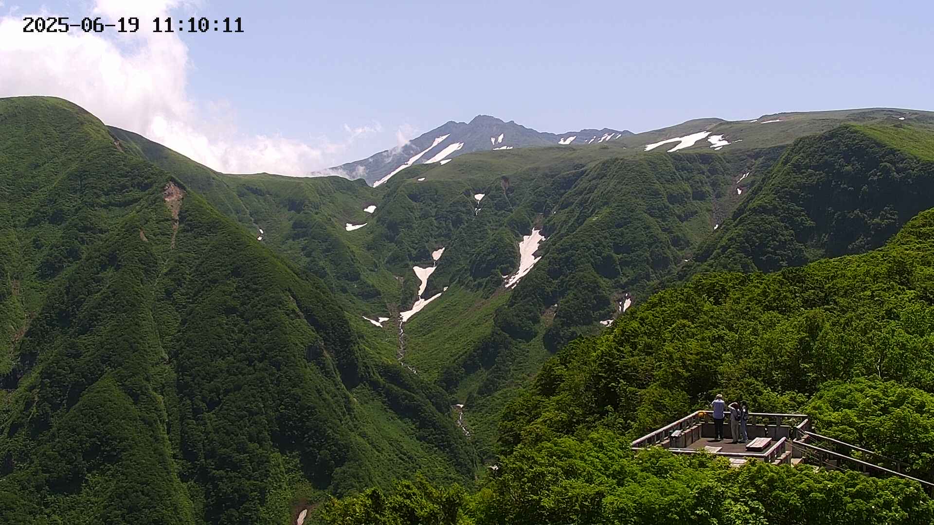 zenkei20250619111013.jpg