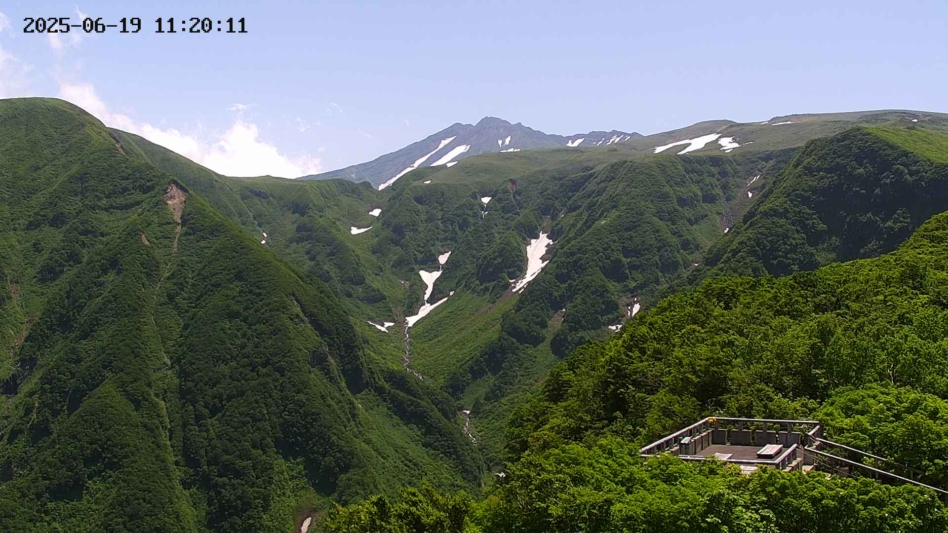 zenkei20250619112012.jpg