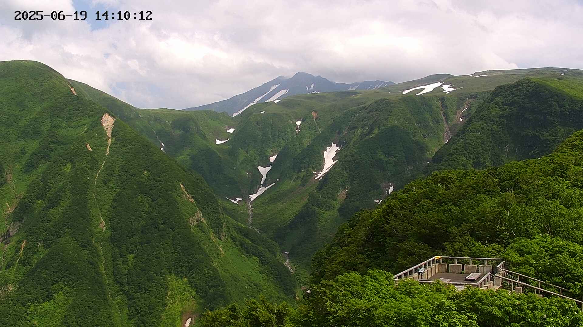 zenkei20250619141013.jpg