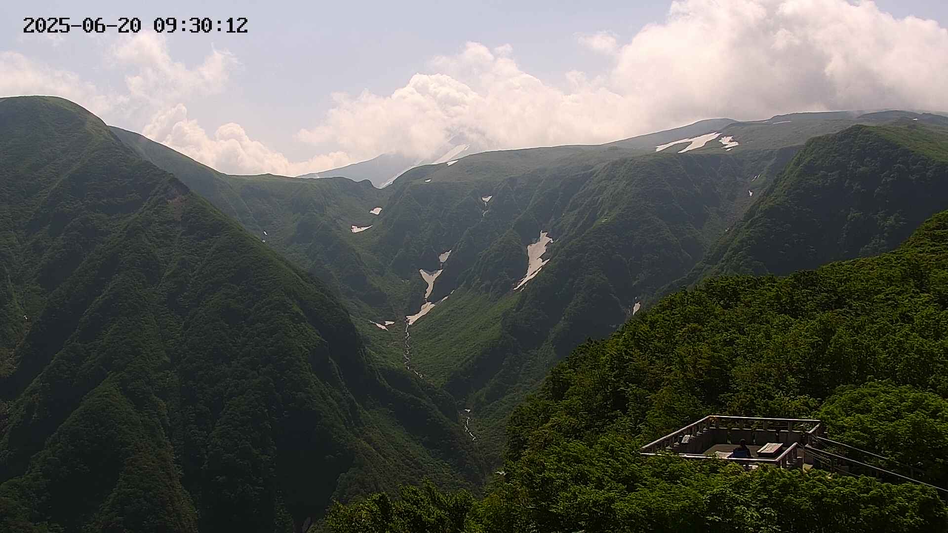 zenkei20250620093013.jpg