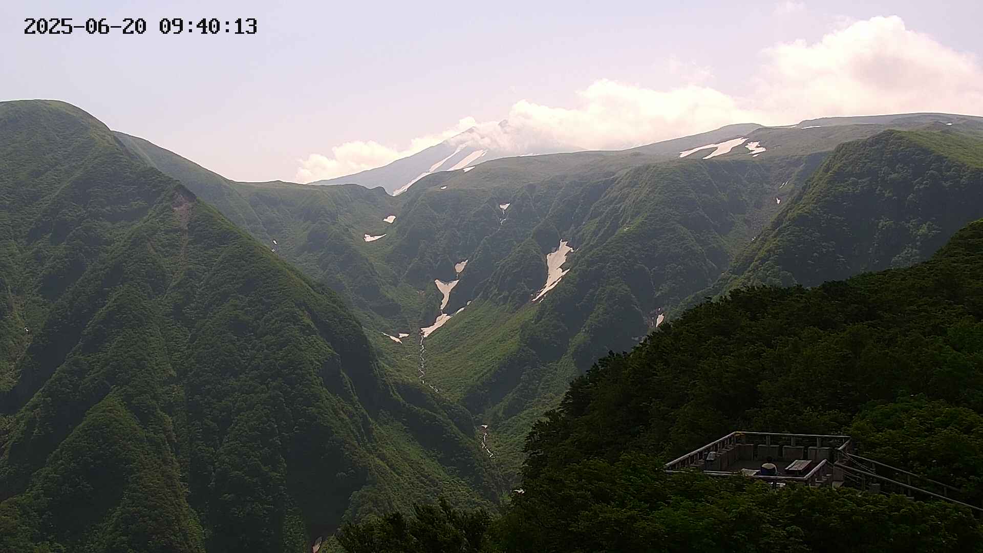 zenkei20250620094015.jpg