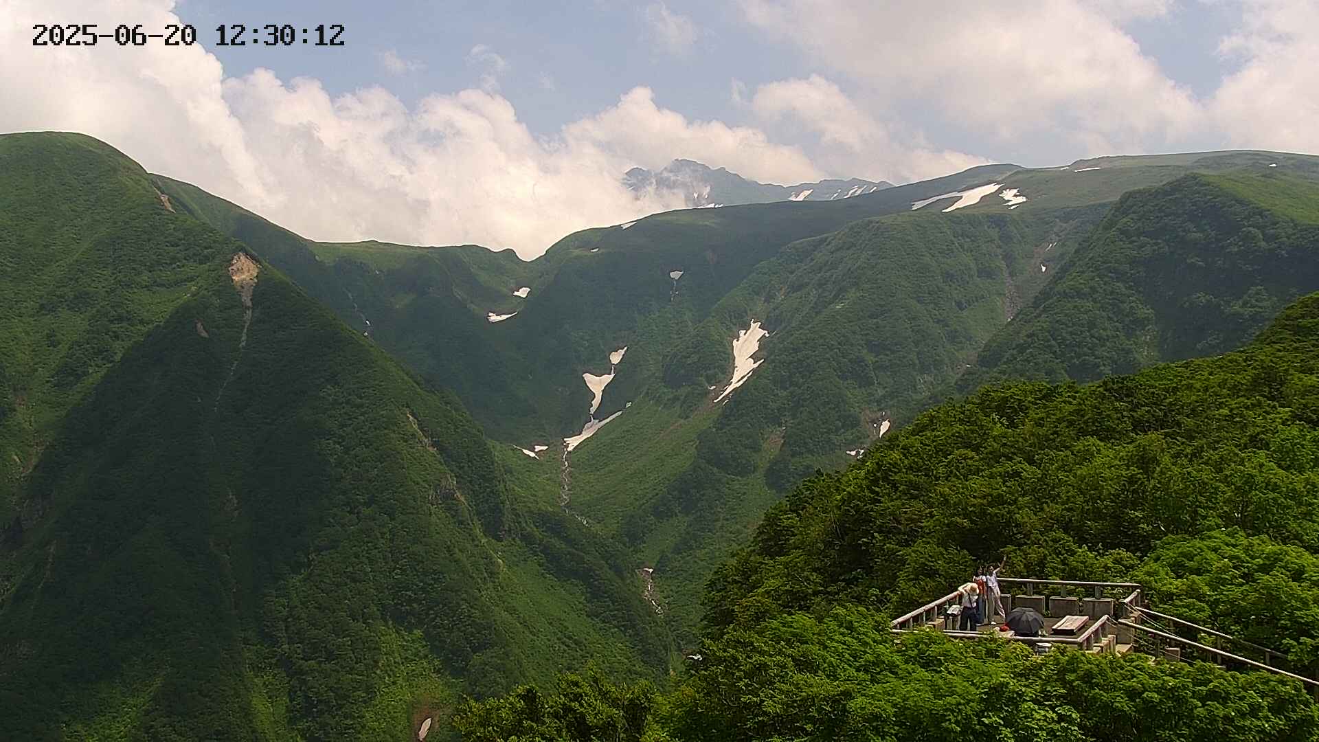 zenkei20250620123014.jpg