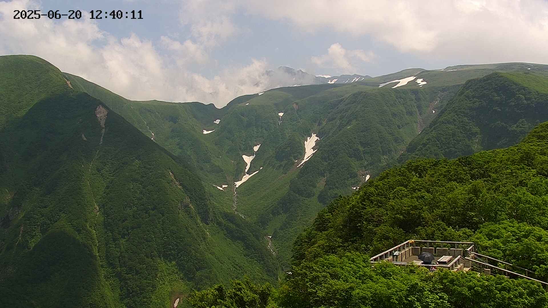 zenkei20250620124013.jpg