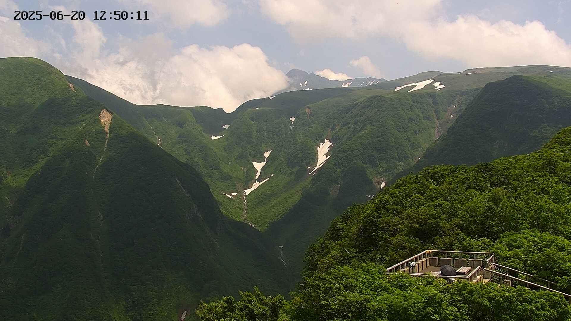 zenkei20250620125013.jpg